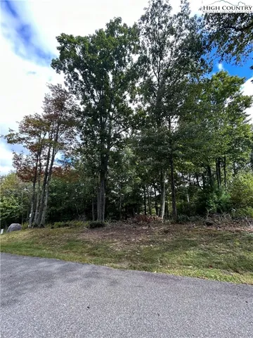 a view of a field with trees