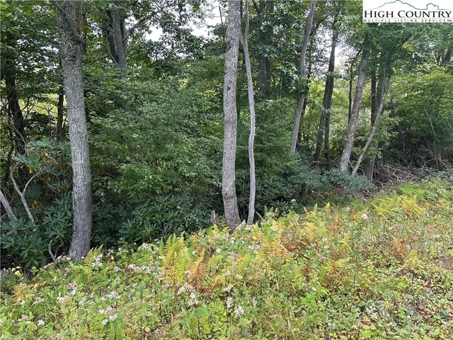 a view of a garden with trees