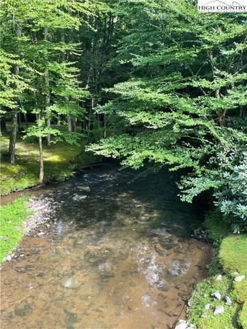 a view of a garden with a lake
