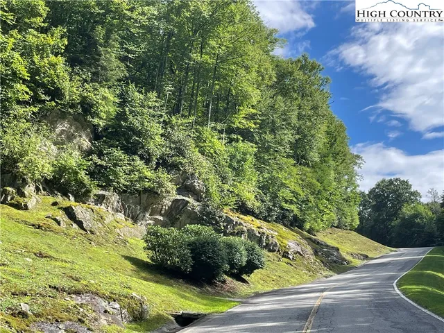 a view of a yard with plants