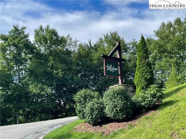 a view of a house with a yard and potted plants
