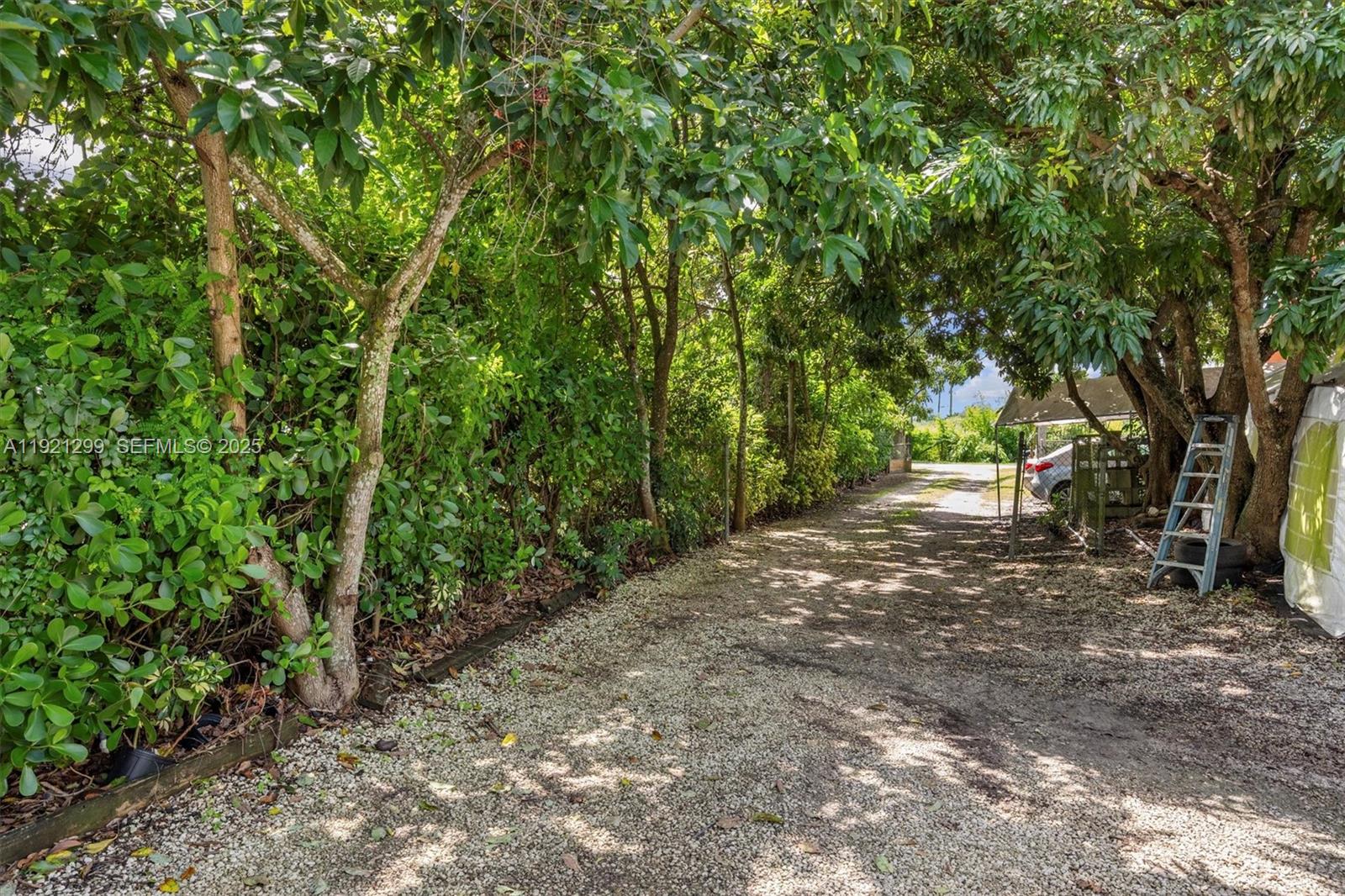 20851 Southwest 242nd Street Homestead, FL 33031 - Photo 34 of 42 a view of a forest with trees