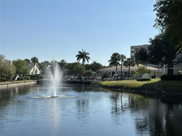 a view of a park with tree s