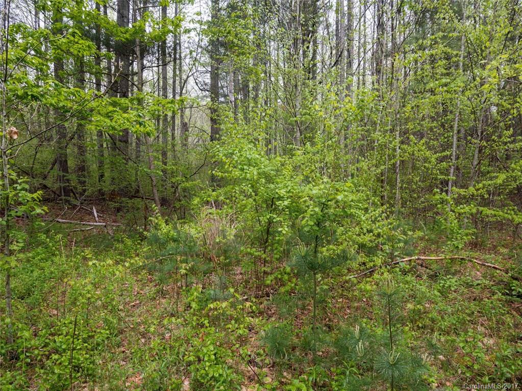 11 Marlowe Road Fairview, NC 28730 - Photo 19 of 22 Gallery Image 19