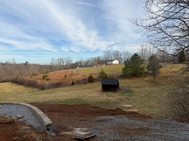 a view of backyard with green space