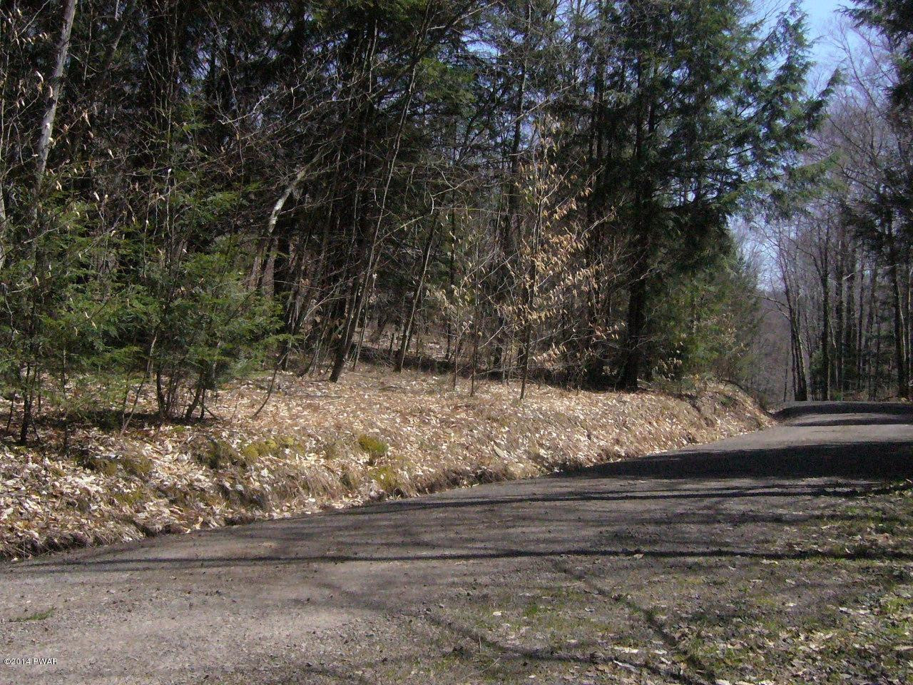0 Dufton Hollow Road Hancock, NY 13783 - Photo 10 of 11