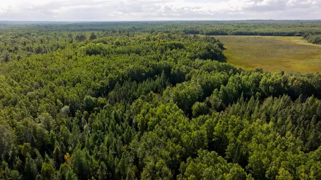 $249,900 | Tbd Boy Lake Drive Northeast, Remer, MN 56672