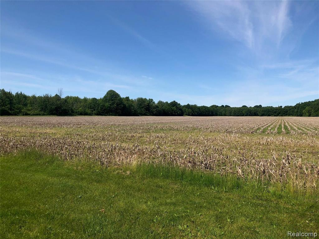 3663 Kilgore Road Avoca, MI 48006 - Photo 48 of 57
