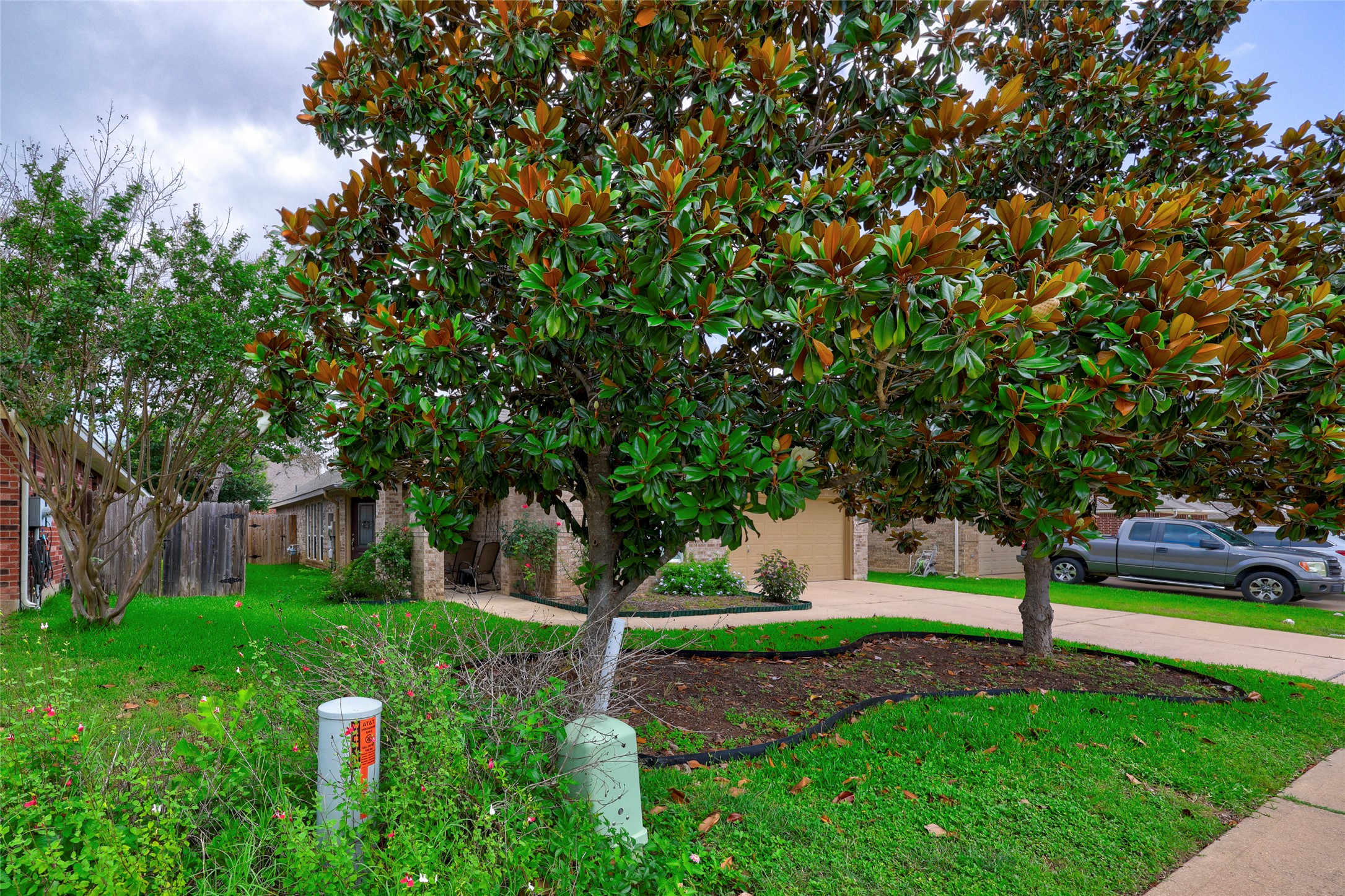 1819 Nelson Ranch Loop Cedar Park, TX 78613 - Photo 13 of 38 Front yard