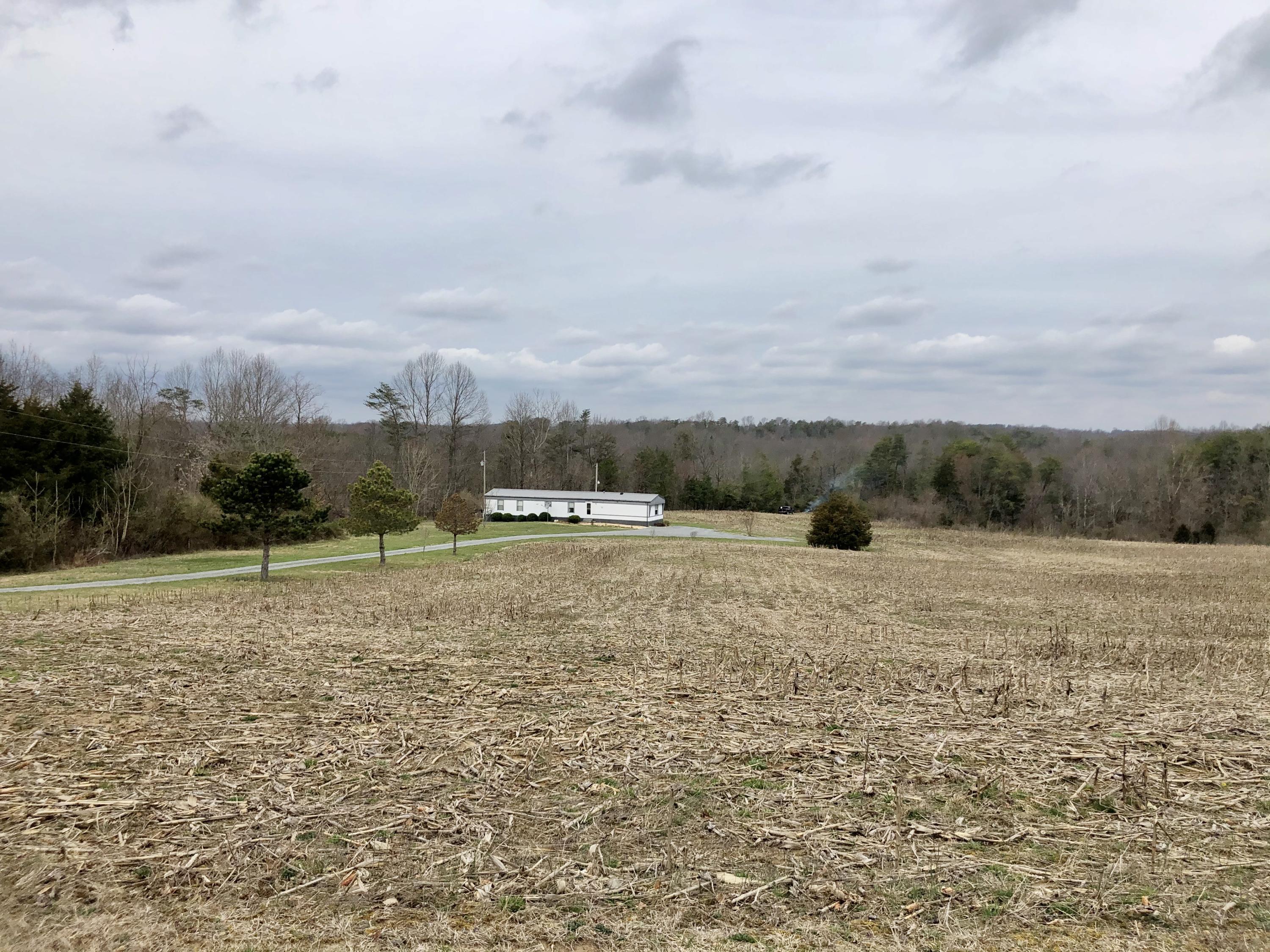 1250 Blankenship Road Jamestown, KY 42629 - Photo 7 of 44 IMG_4237