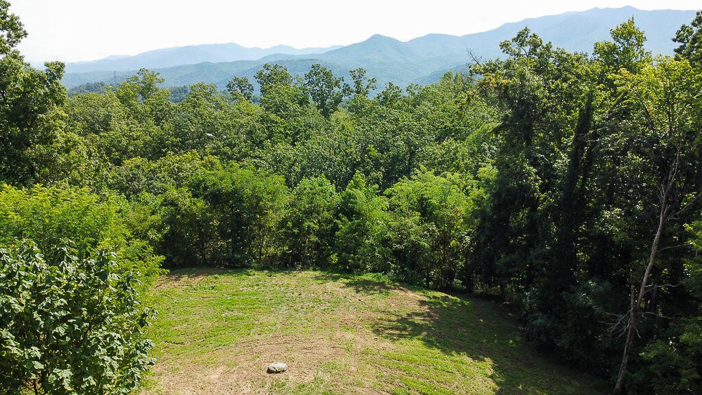 1468 Laurel Road Gatlinburg, TN 37738 - Photo 38 of 40 Gallery Image 38