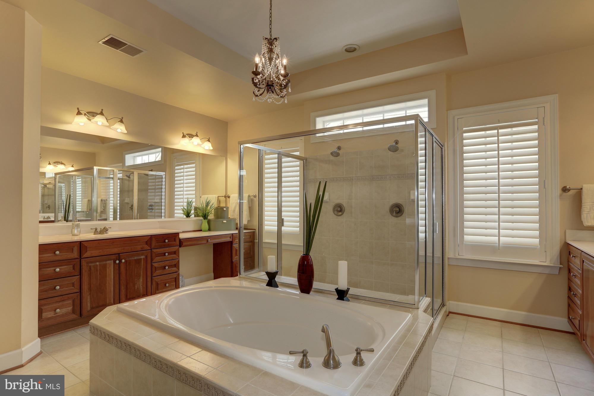23110 Persimmon Ridge Road Clarksburg, MD 20871 - Photo 14 of 30 Bath (Master)