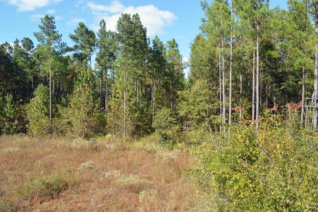 0 Greenhouse Road Gordon, AL 36343 - Photo 18 of 38