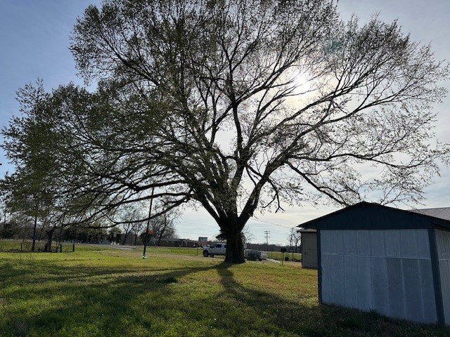 18943 Highway 7 Centerville, TX 75833 - Photo 15 of 33 a view of a large trees with a big yard
