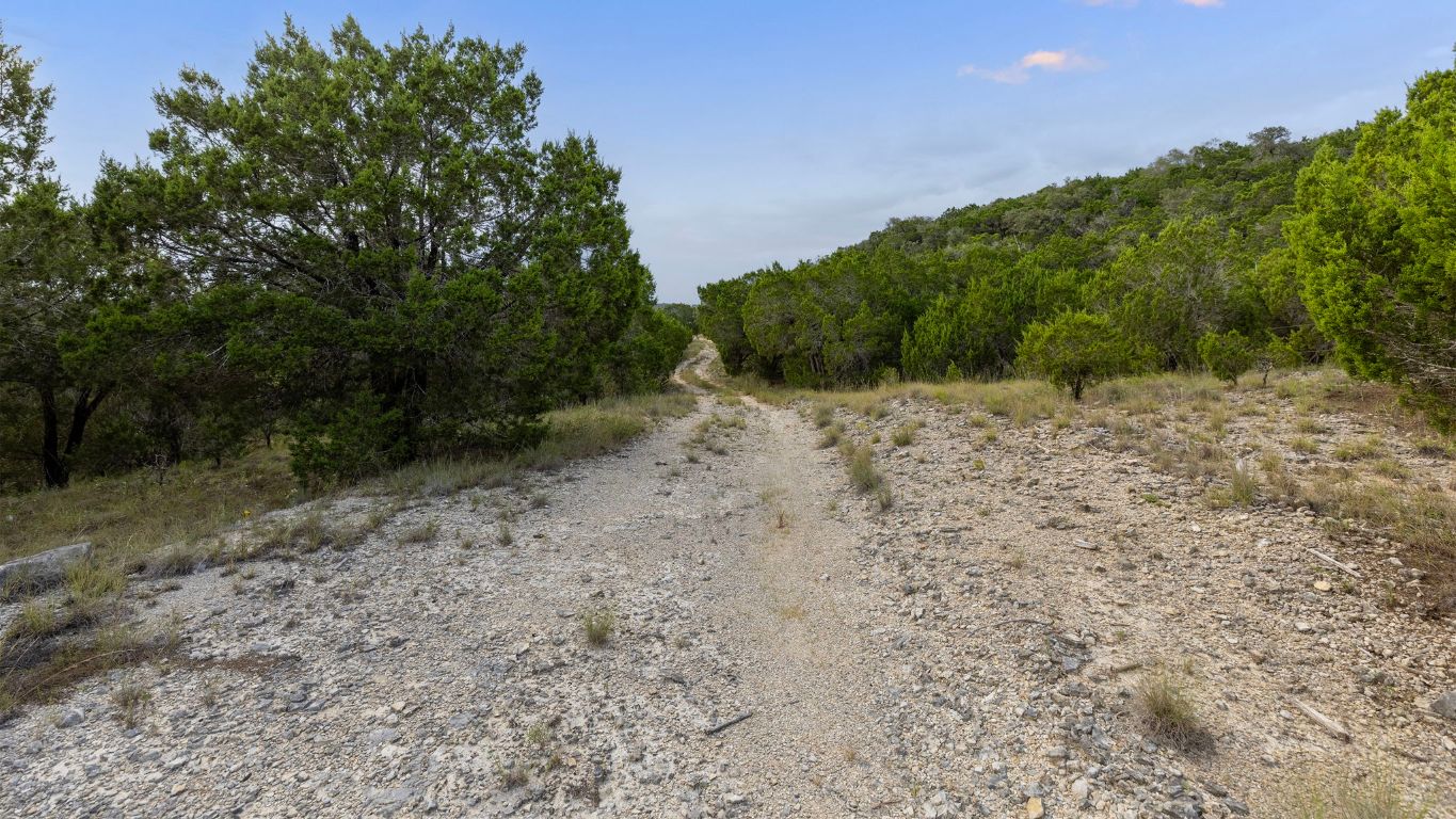 Tbd Johnson Road Leander, TX 78641 - Photo 16 of 31 a view of a yard with a tree