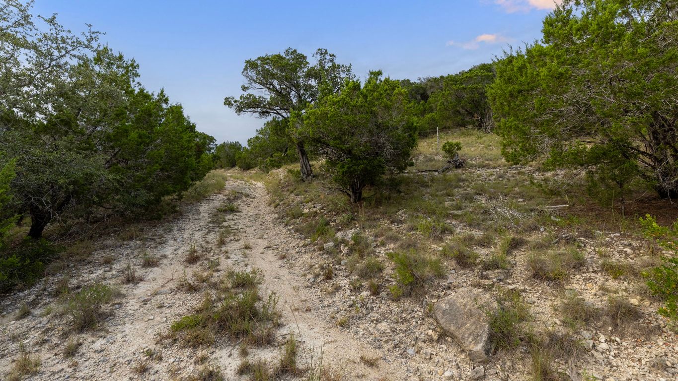 Tbd Johnson Road Leander, TX 78641 - Photo 17 of 31 a view of a forest with trees in the background