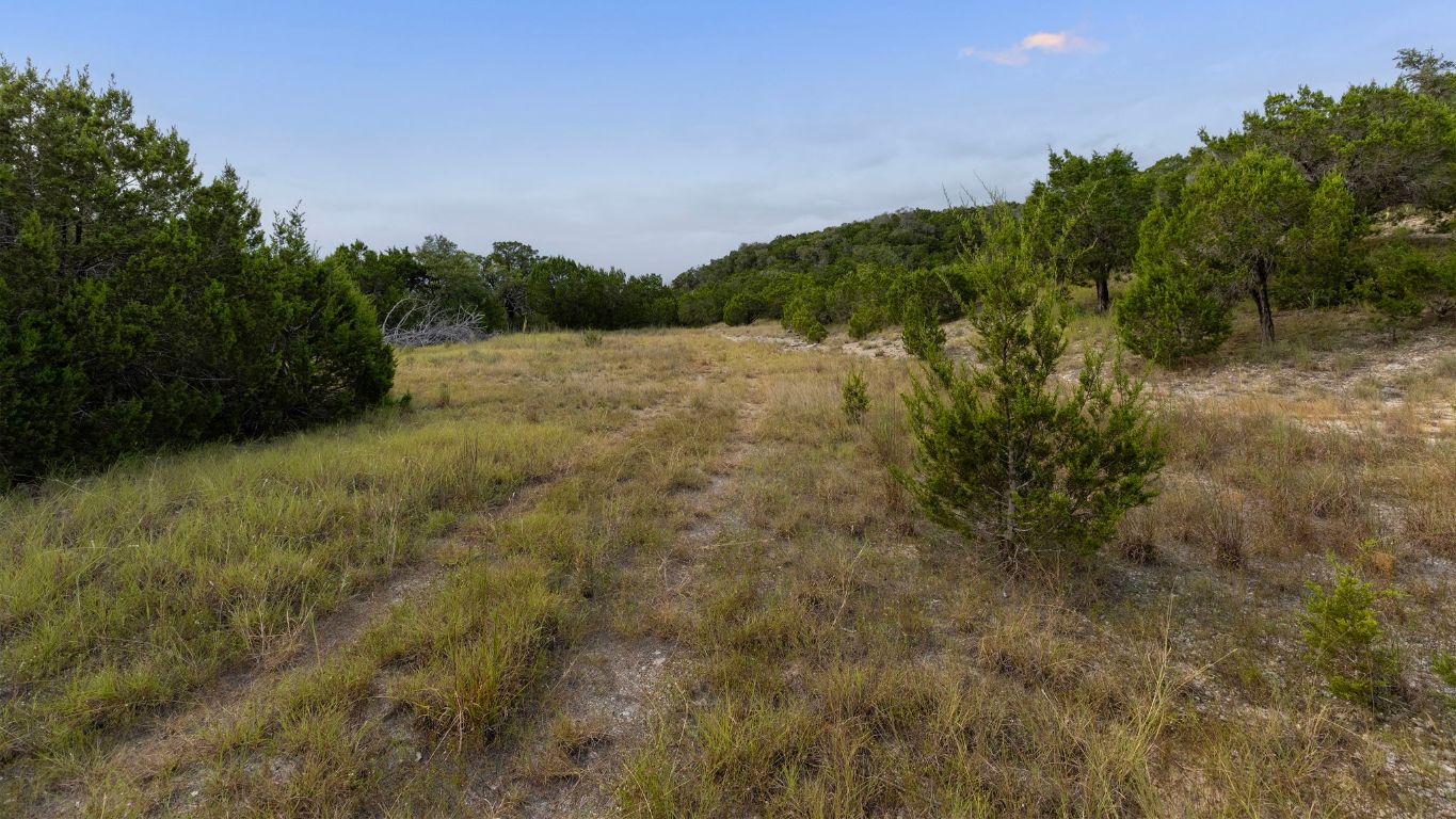Tbd Johnson Road Leander, TX 78641 - Photo 20 of 31 a view of a field of grass and trees