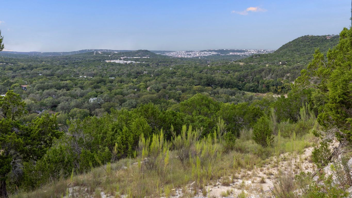 Tbd Johnson Road Leander, TX 78641 - Photo 22 of 31 a view of a lush green forest with houses and green field