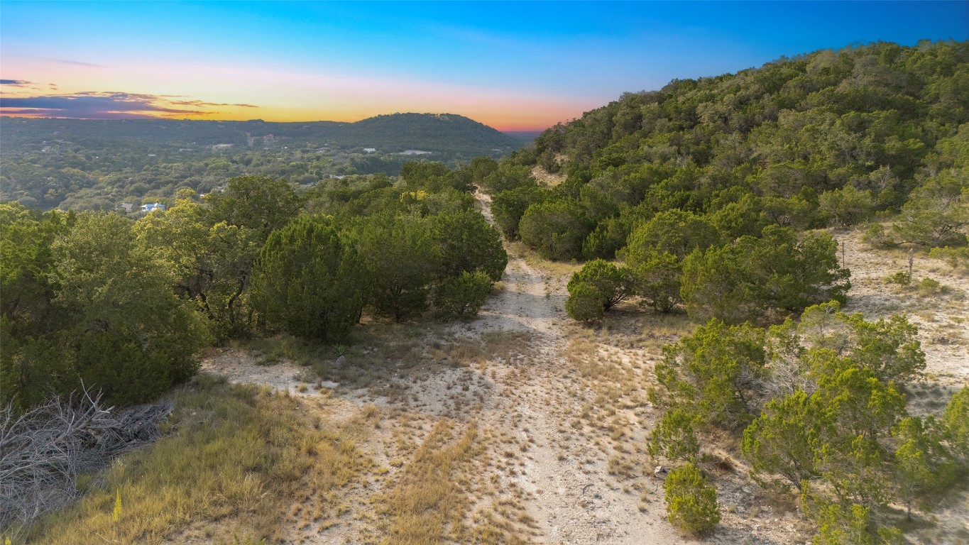 Tbd Johnson Road Leander, TX 78641 - Photo 3 of 31 a view of a forest with a mountain