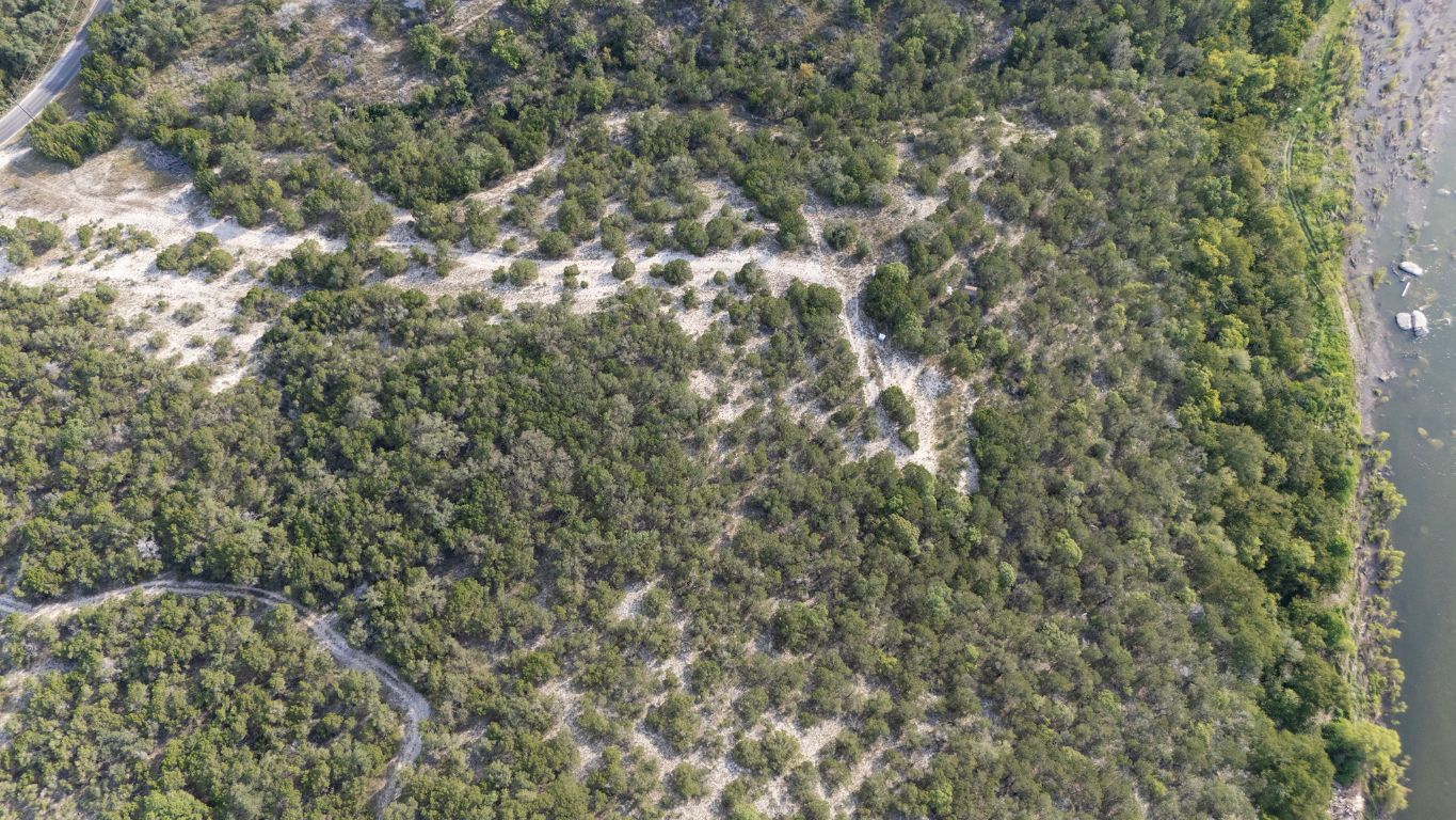 Tbd Johnson Road Leander, TX 78641 - Photo 9 of 31 a close up of a tree