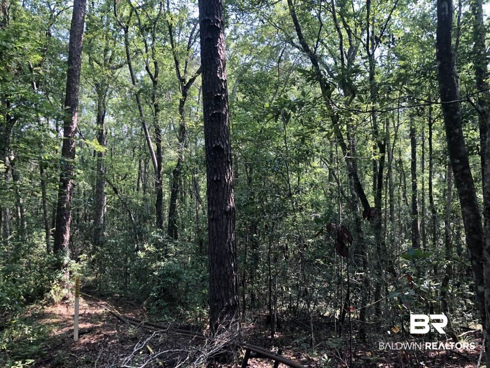 18560 Mason Street Citronelle, AL 36522 - Photo 27 of 45