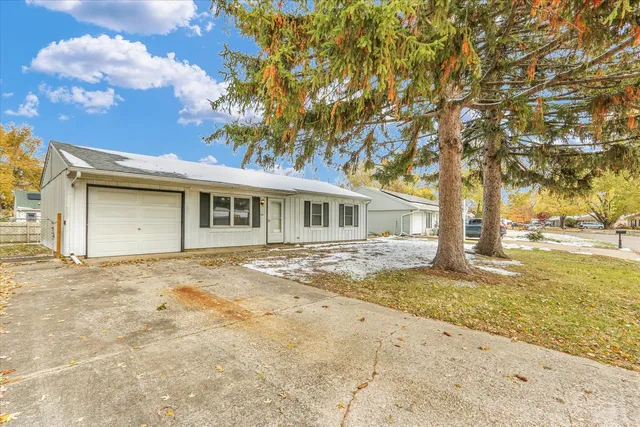 a view of a yard with a tree in front of it