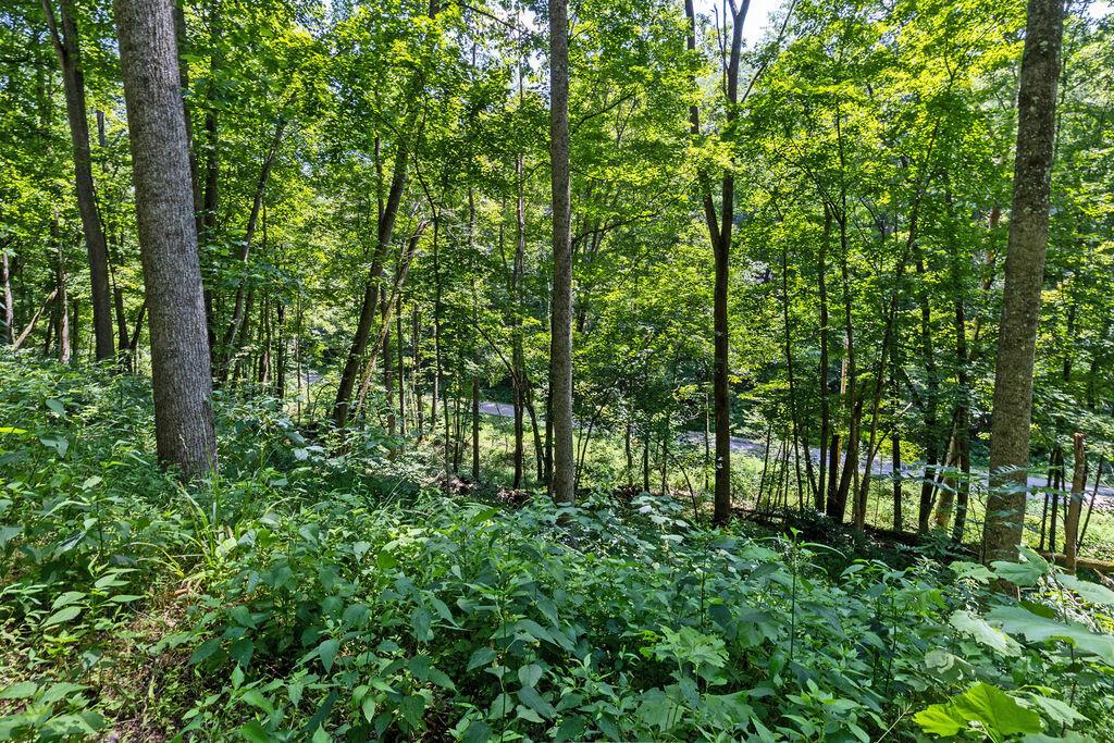24272 Conrad Road Laurelville, OH 43135 - Photo 23 of 32 23-Walking Path-2