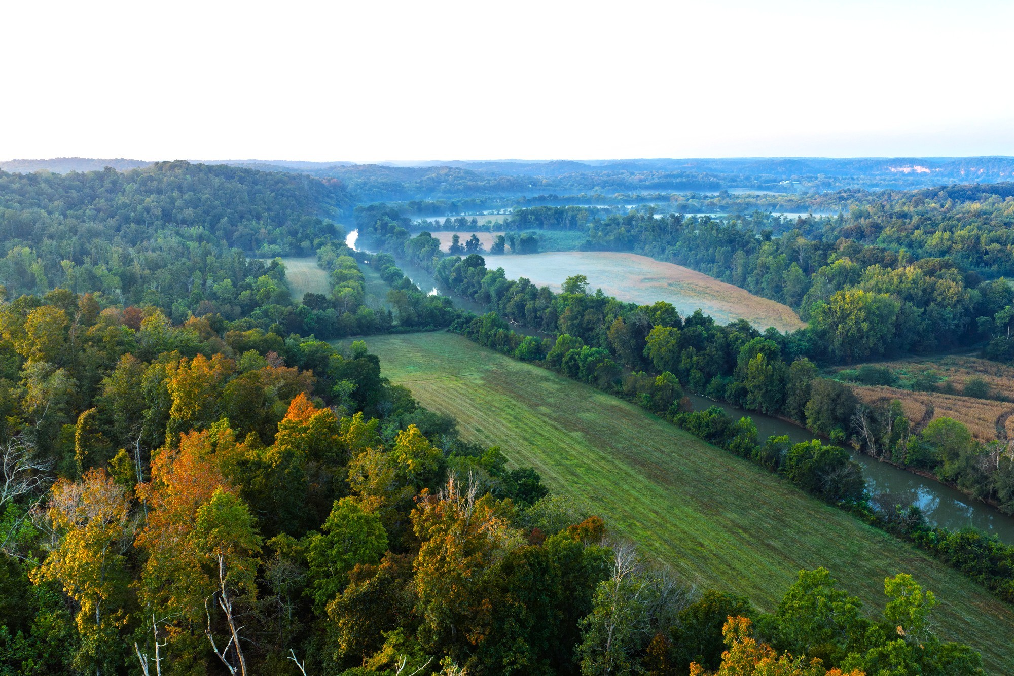 110 Wade Reed Road White Bluff, TN 37187 - Photo 84 of 94 Gallery Image 84
