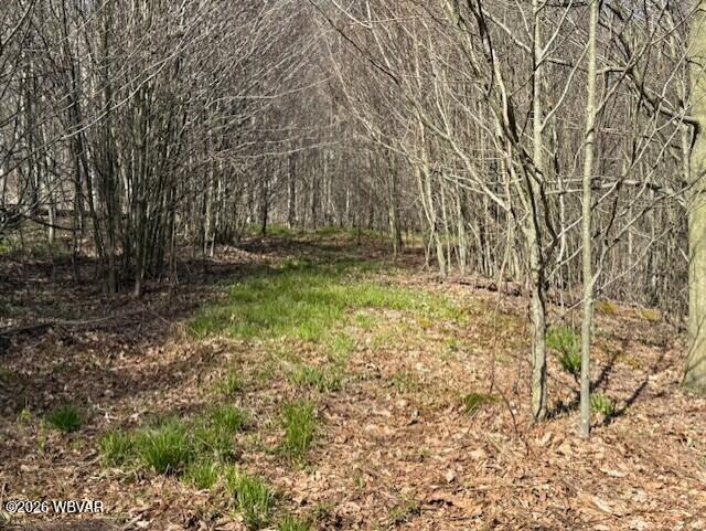 31 Glory Rdg Road Shunk, PA 17768 - Photo 5 of 10 Parcel 031 Glory Ridge Rd. Shunk View (4