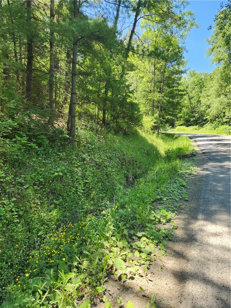 0 Sandpit Road Bath, NY 14810 - Photo 1 of 1 Gallery Image 1