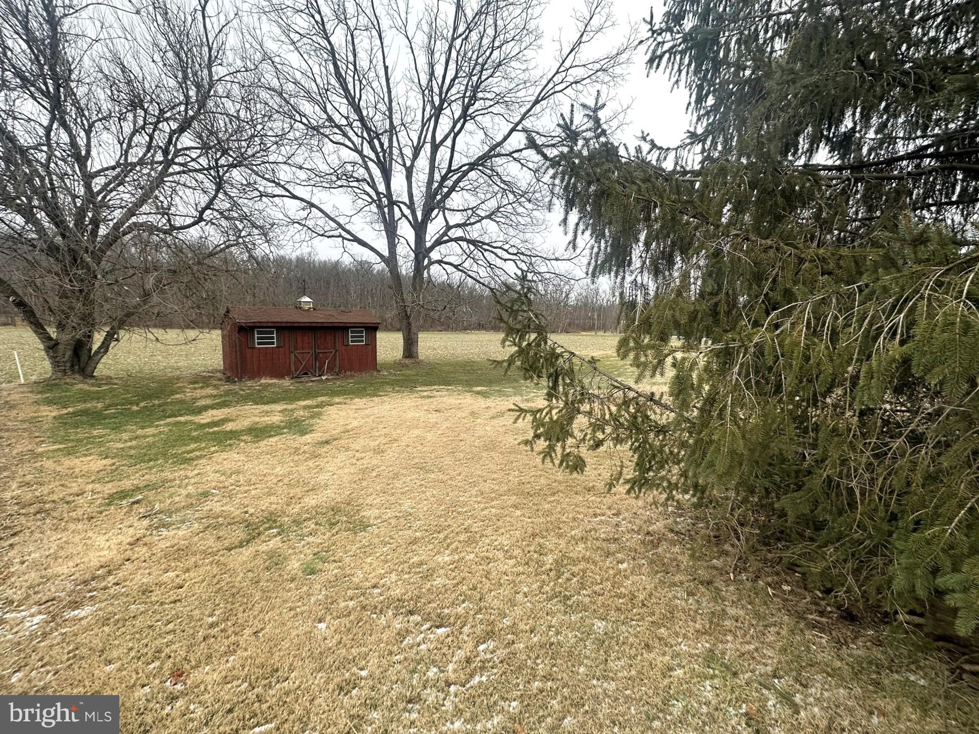 6751 York Road Spring Grove, PA 17362 - Photo 4 of 50 a view of a yard with a tree
