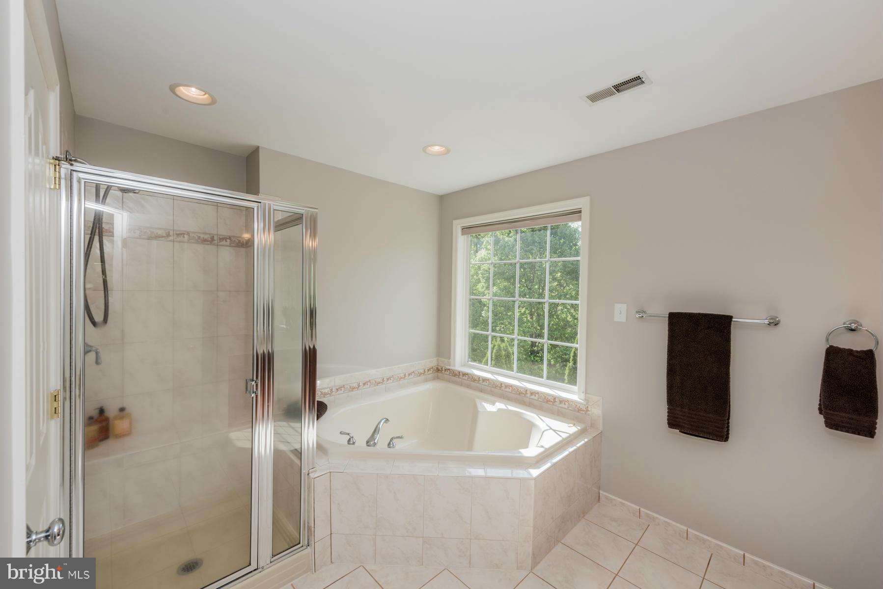 2935 New Rover Road West Friendship, MD 21794 - Photo 22 of 30 Master Bath