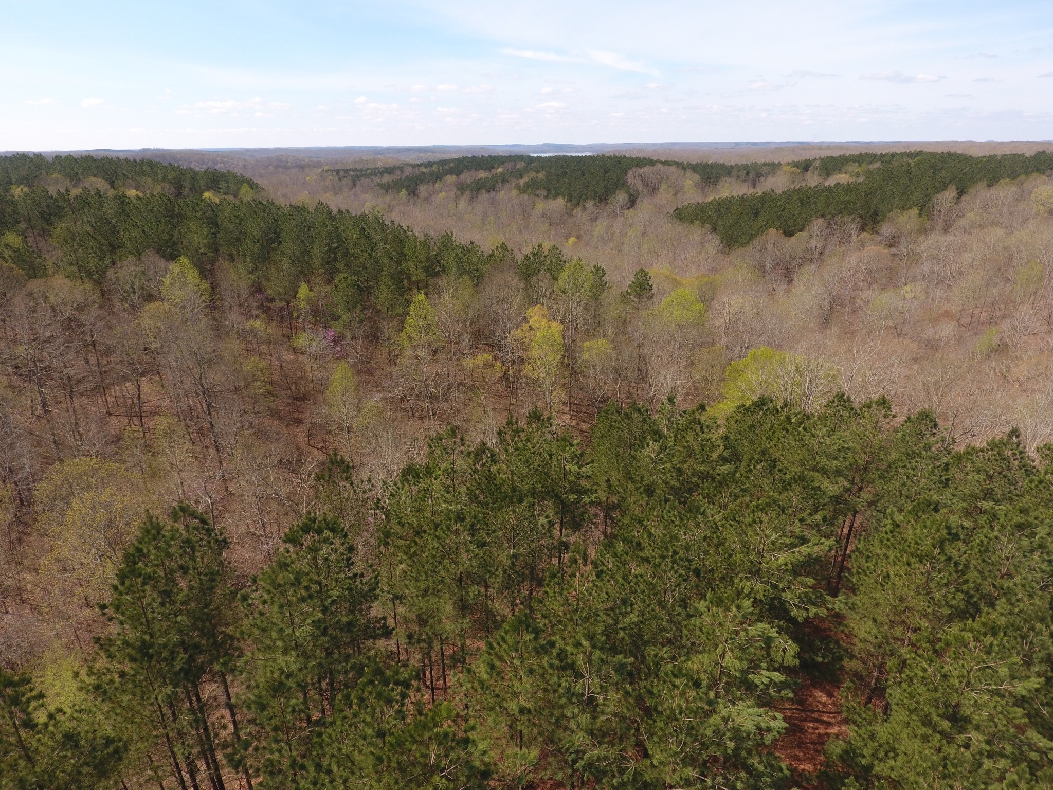 0 Mathis Cemetery Road Stewart, TN 37175 - Photo 6 of 12 Gallery Image 6