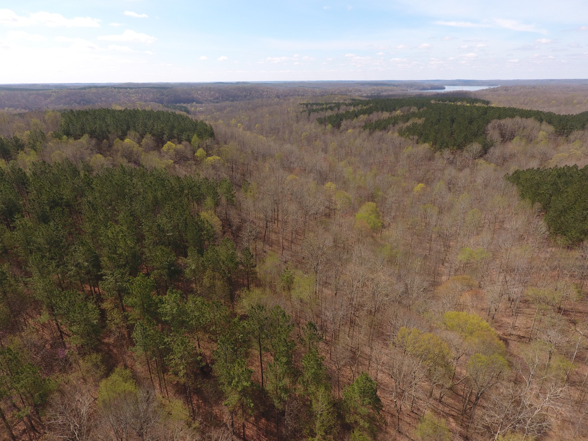 0 Mathis Cemetery Road Stewart, TN 37175 - Photo 7 of 12 Gallery Image 7