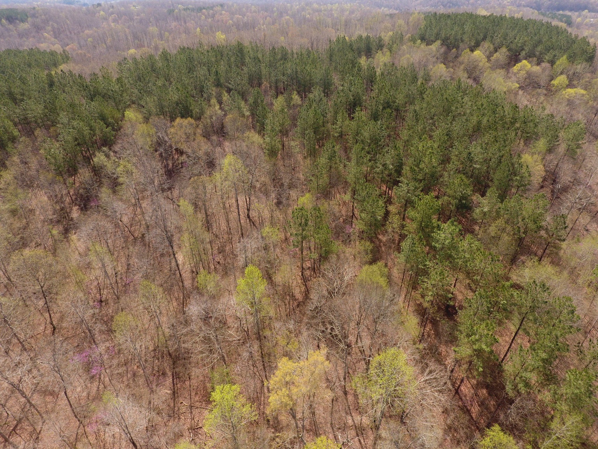 0 Mathis Cemetery Road Stewart, TN 37175 - Photo 8 of 12 Gallery Image 8