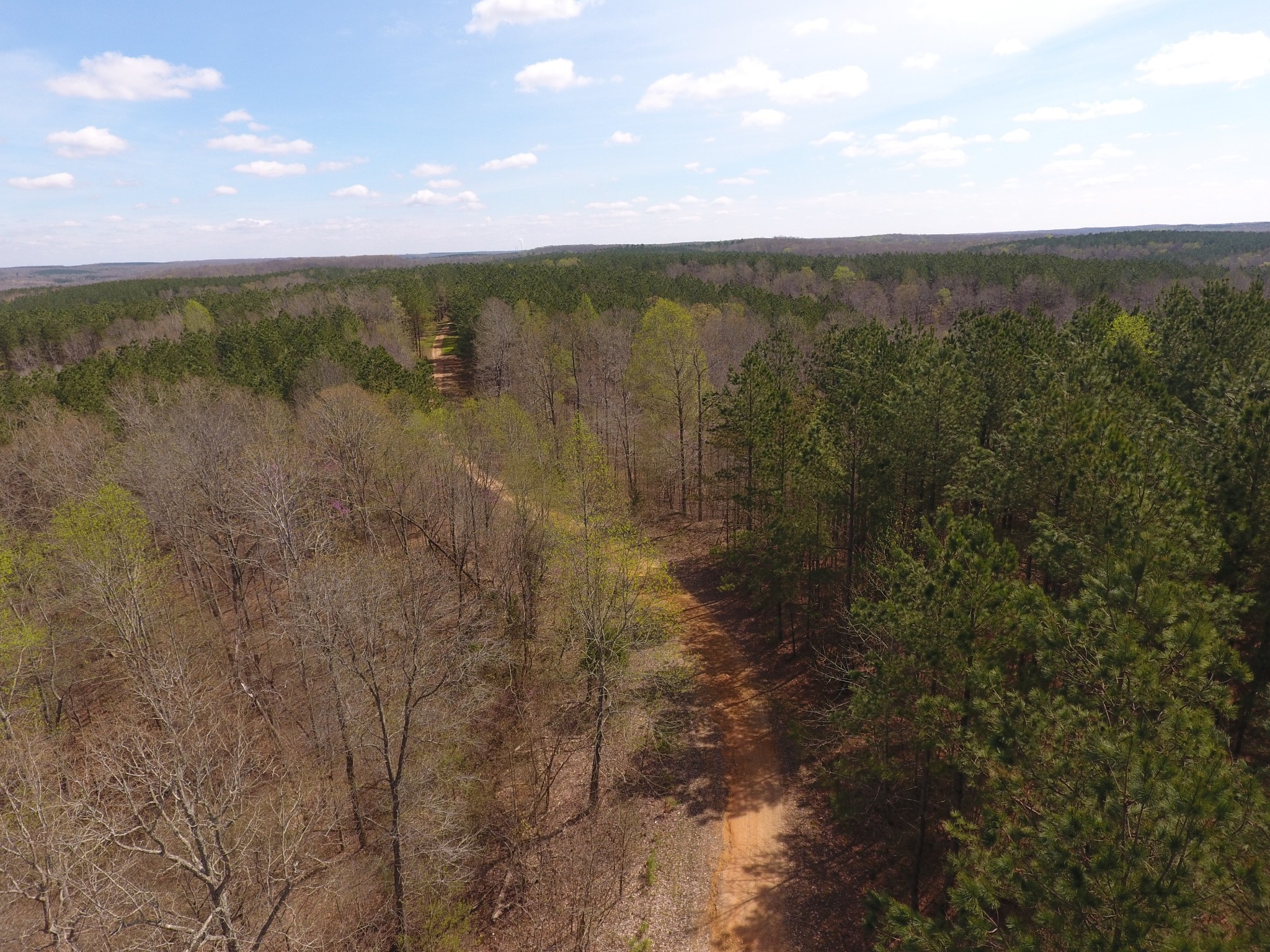 0 Mathis Cemetery Road Stewart, TN 37175 - Photo 9 of 12 Gallery Image 9