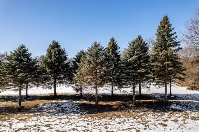 a backyard of a house with lots of trees