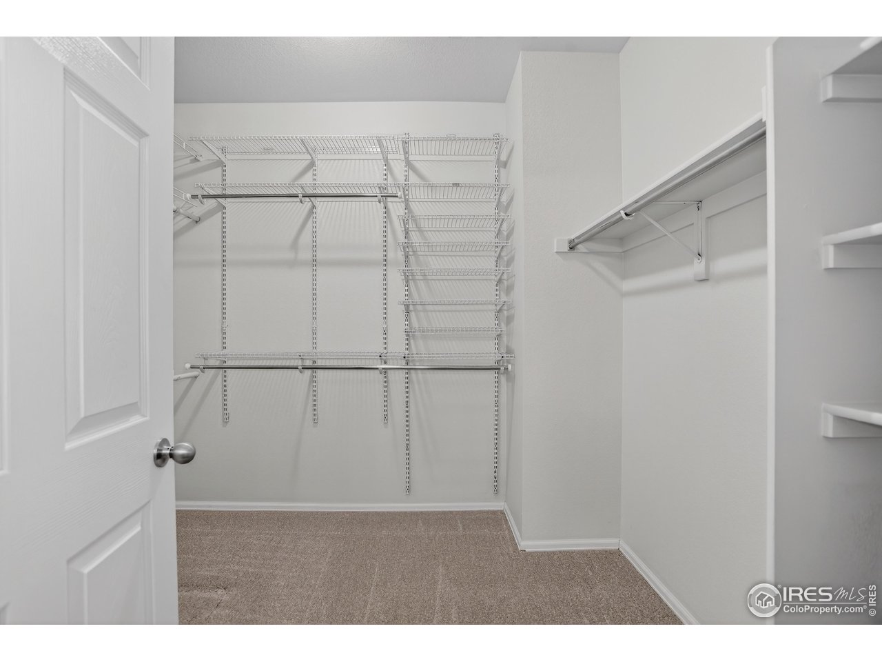 6734 Grainery Road Timnath, CO 80547 - Photo 22 of 44 Large Primary Walk-in Closet