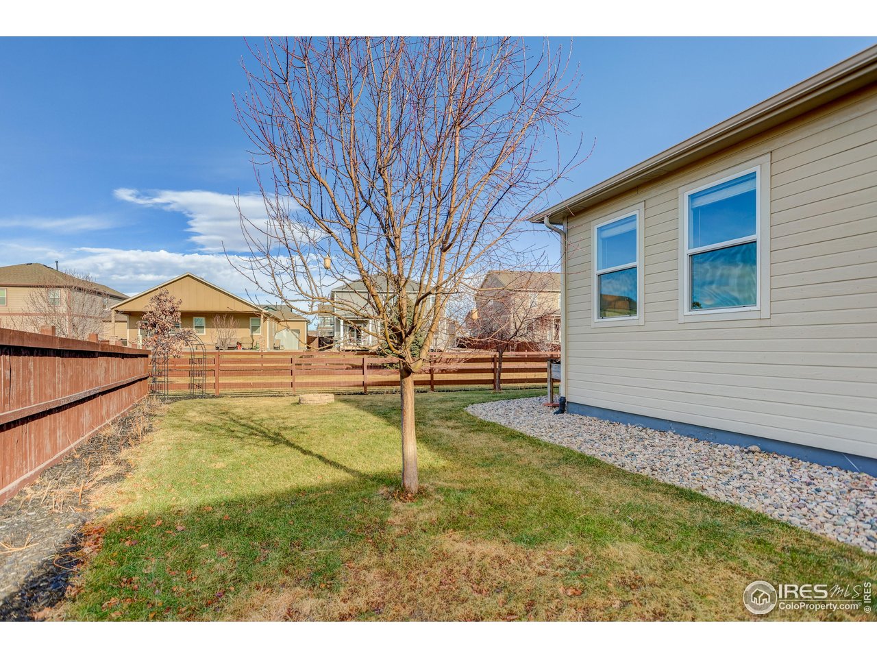 6734 Grainery Road Timnath, CO 80547 - Photo 36 of 44 Side yard.