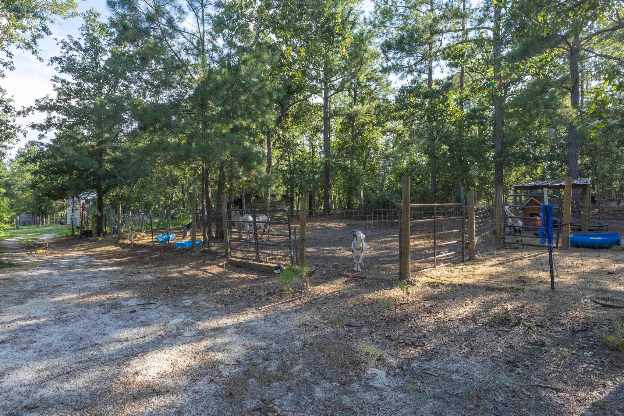 730 Springfield Church Road Aiken, SC 29801 - Photo 16 of 18 Gallery Image 16