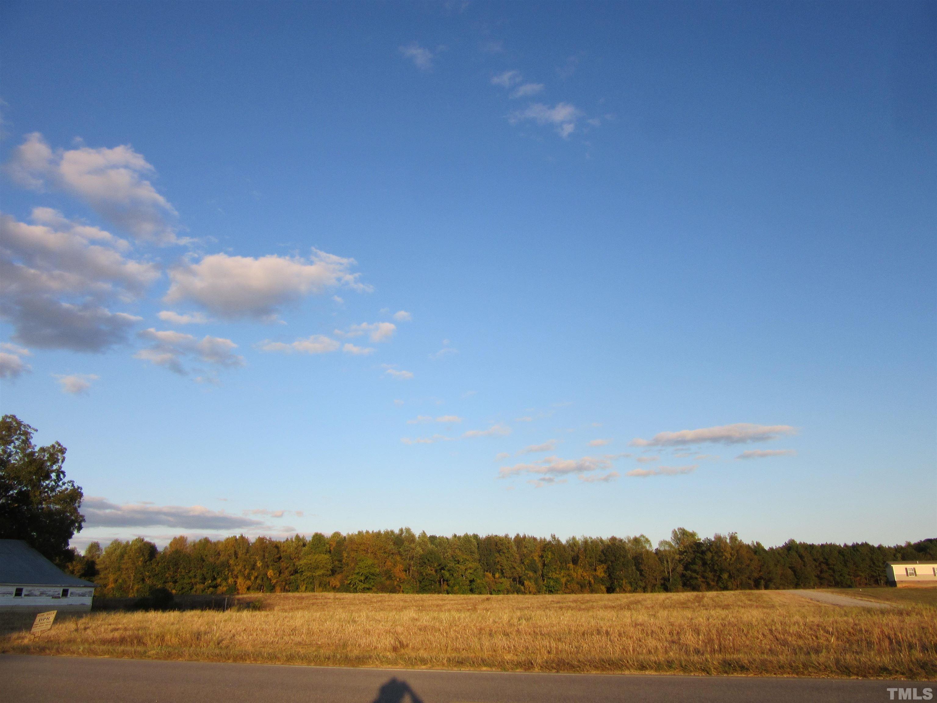 Lot 3 Nc 231 Hwy Spring Spring Hope, NC 27882 - Photo 3 of 12 Gallery Image 3