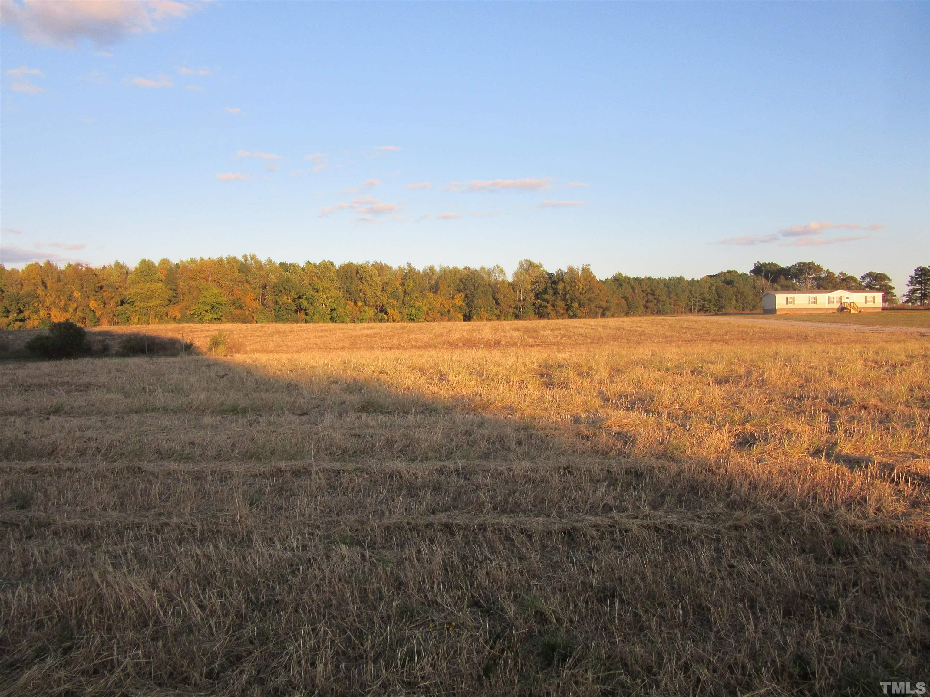 Lot 3 Nc 231 Hwy Spring Spring Hope, NC 27882 - Photo 4 of 12 Gallery Image 4