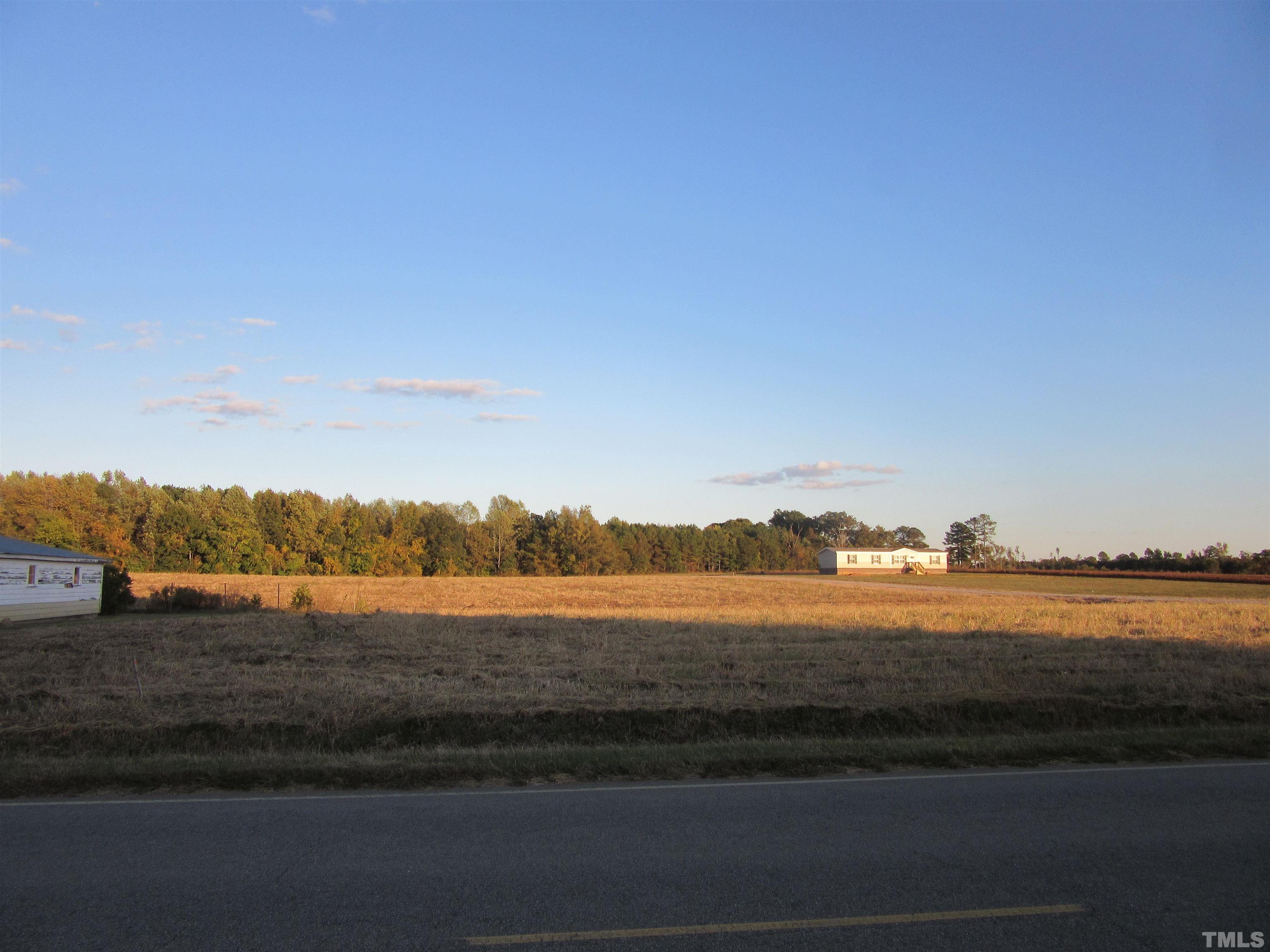 Lot 3 Nc 231 Hwy Spring Spring Hope, NC 27882 - Photo 6 of 12 Gallery Image 6