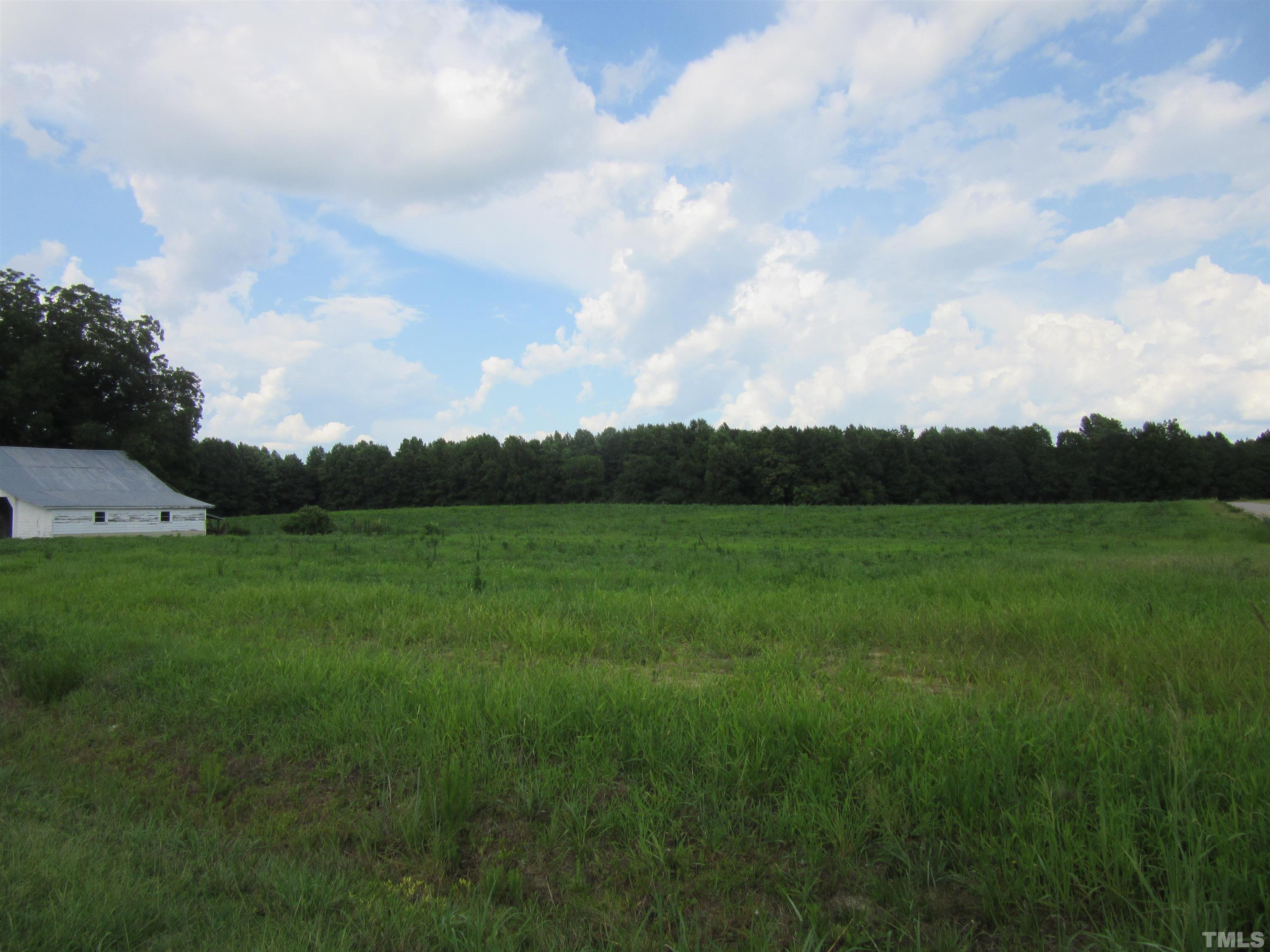 Lot 3 Nc 231 Hwy Spring Spring Hope, NC 27882 - Photo 8 of 12 Gallery Image 8