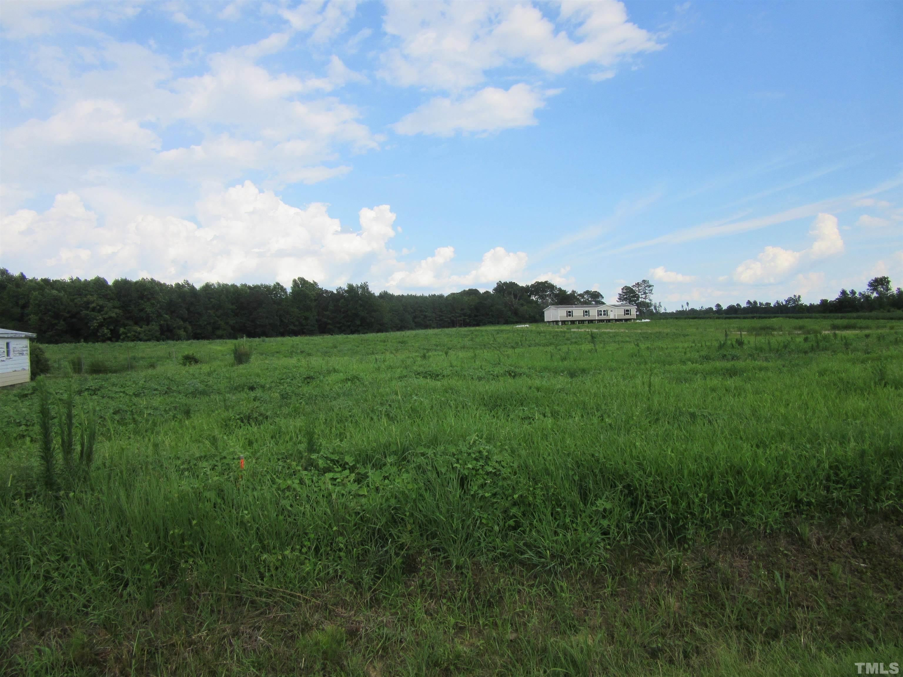 Lot 3 Nc 231 Hwy Spring Spring Hope, NC 27882 - Photo 9 of 12 Gallery Image 9