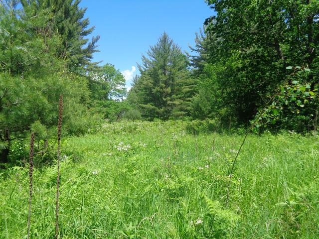 14 Bunting Lane Rhinelander, WI 54501 - Photo 5 of 10 Gallery Image 5