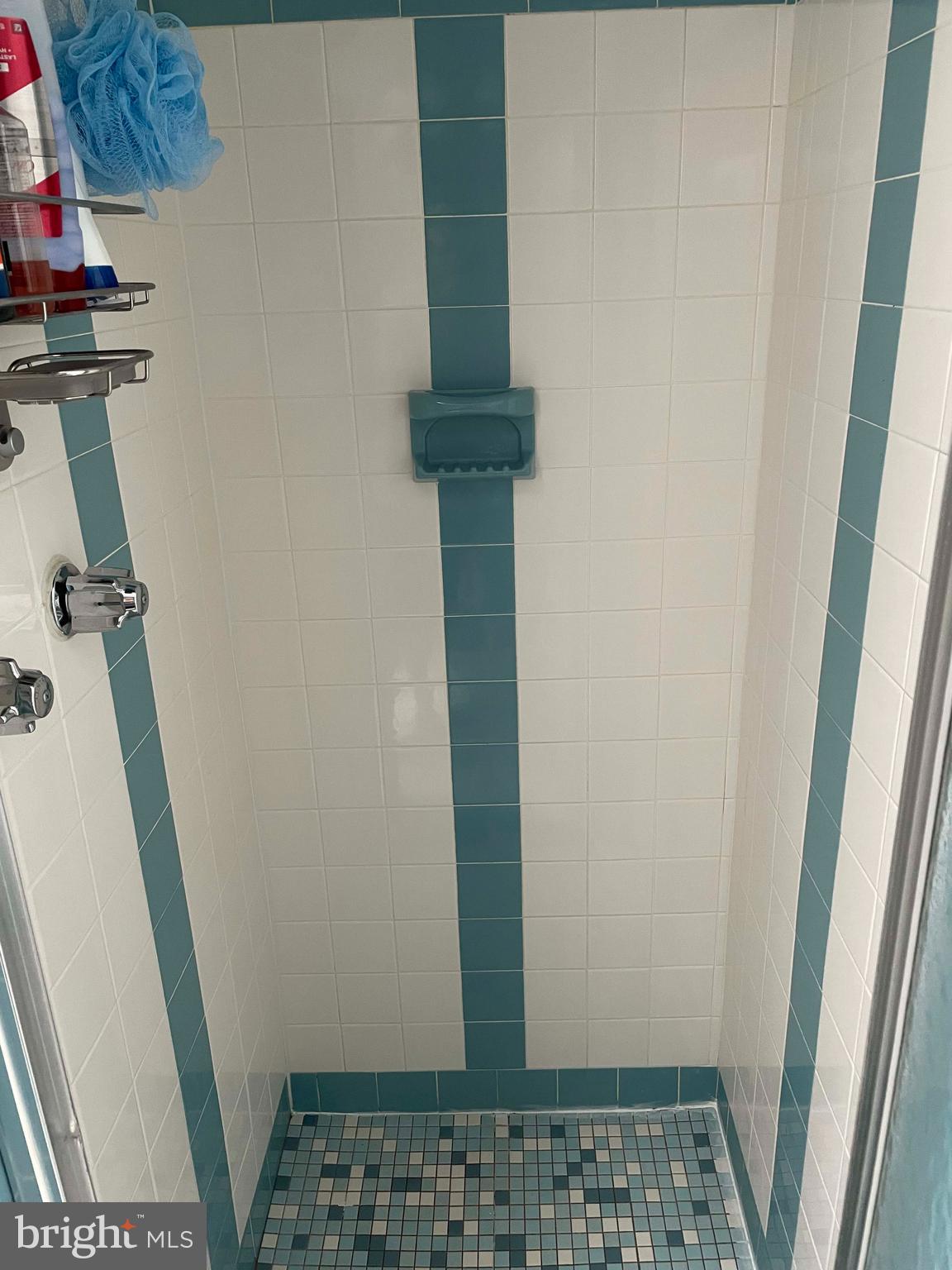 4008 Elson Road Brookhaven, PA 19015 - Photo 16 of 31 Master bathroom shower
