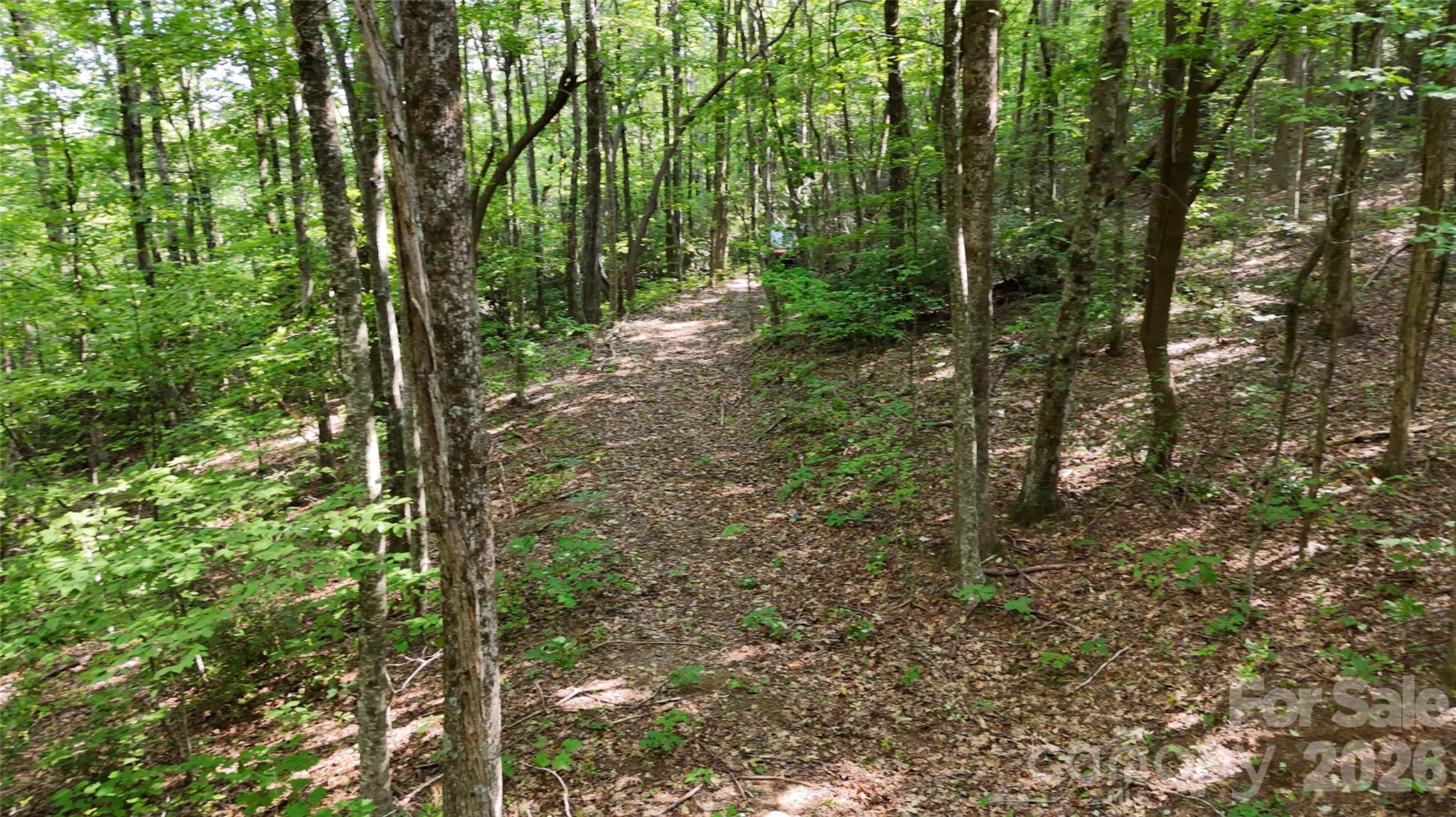 Lot 1 Hogback Mountain Road, Unit 1 Tryon, NC 28782 - Photo 13 of 22 Gallery Image 13