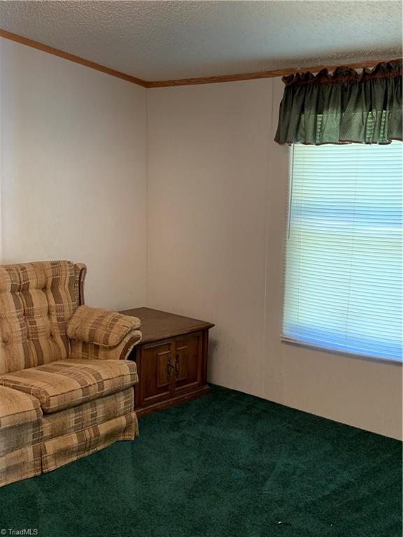 8123 Shoeline Road Stokesdale, NC 27357 - Photo 20 of 30 Gallery Image 20
