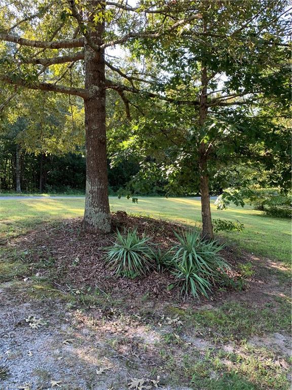 8123 Shoeline Road Stokesdale, NC 27357 - Photo 4 of 30 Gallery Image 4